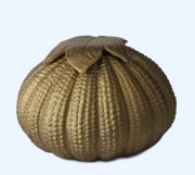 Steen met blad groot 350 ml 800